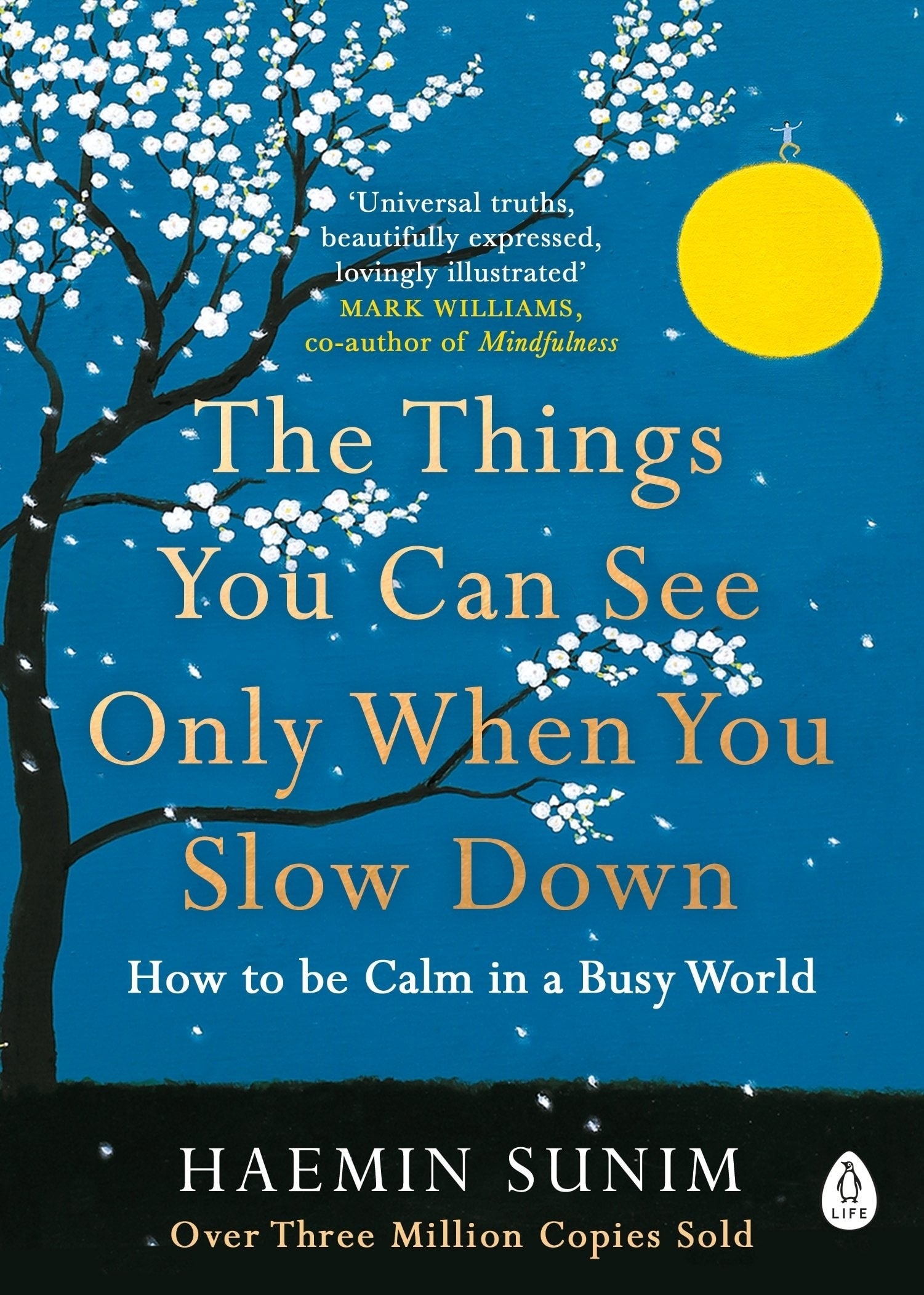 The Things You Can See Only When You Slow Down: Guidance on the Path to Mindfulness from a Spiritual Leader